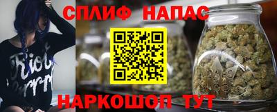 гидропоника Обнинск